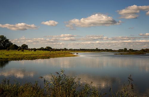 River IJssel floodplains by Bo Scheeringa Photography