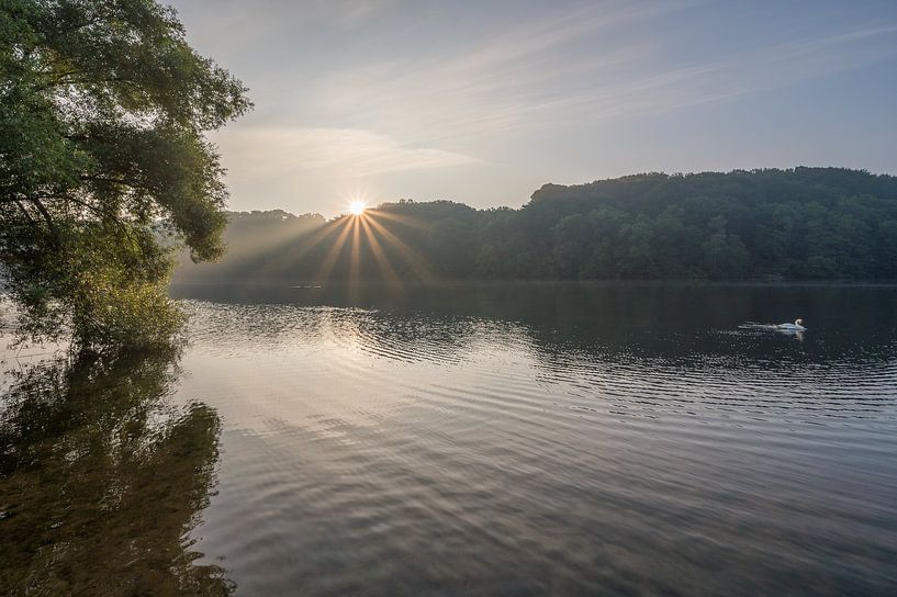 Swan during a radiant sunrise in the Cranenweyer by John van de Gazelle fotografie