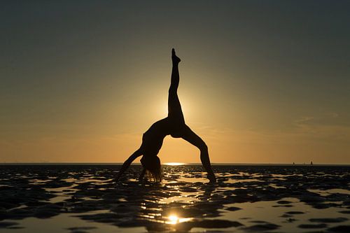 Artistiek naakt op het wad bij zonsondergang in brug pose