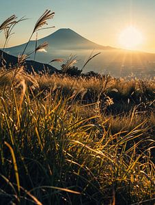 Herbststimmung im Sonnenaufgang