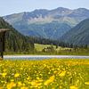 De Stappitzer See, Oostenrijk, NationalPark Hohe Tauern, het Seebachtal van Jani Moerlands