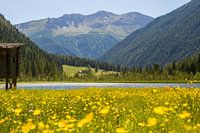 De Stappitzer See, Oostenrijk, NationalPark Hohe Tauern, het Seebachtal