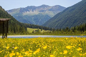 De Stappitzer See, Oostenrijk, NationalPark Hohe Tauern, het Seebachtal van Jani Moerlands