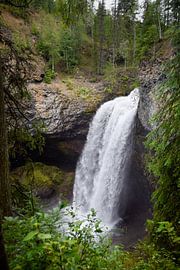 Hidden gem by Manon Verijdt