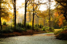 A tea house hidden in the forest by Sabina Meerman