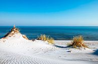 Eenzaam strand aan de Oostzee van Sascha Kilmer thumbnail