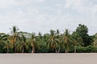 Strand Uvita | Pastelkleuren | Reisfotografie Costa Rica | Wall art print |