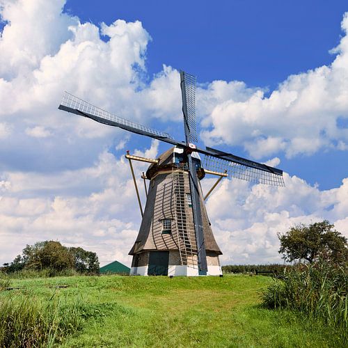 Dutch traditional windmill in a grassland, blue sky and clouds 3