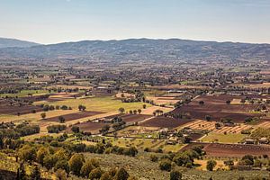 Assisi