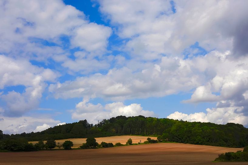 Sommerlandschaft Oberlausitz von Thomas Jäger