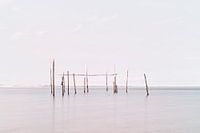 Fishing nets