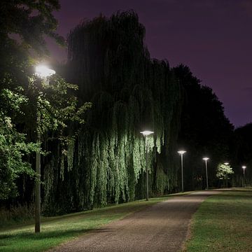 Spät am Abend von Mariska Hofman