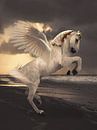 Pegasus von Babette van den Berg Miniaturansicht