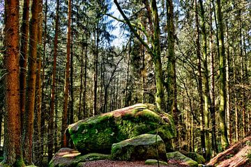 Grootste steen in het Höllbachdal van Roith Fotografie