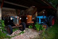 Drei Traktoren von Halma Fotografie Miniaturansicht