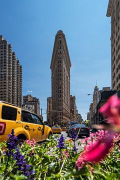 New York     Flatiron Building by Kurt Krause