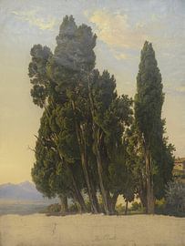 Cyprès dans le parc de la Villa d'Este, Carl Morgenstern