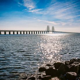 Lueurs d'or : Soirée magique à la source de l'Oresund sur Cristel Brouwer