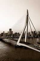 Erasmusbrug Rotterdam