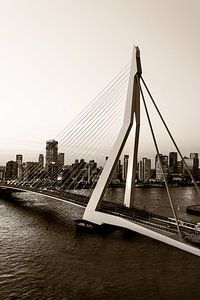 Pont Erasmus Rotterdam