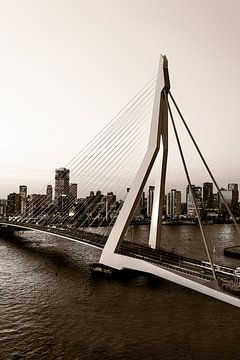 Erasmusbrug Rotterdam van MPhotographer