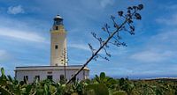 Formentera - Phare de Far de la Mola