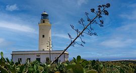 Formentera - Far de la Mola Leuchtturm von Gerwin Schadl