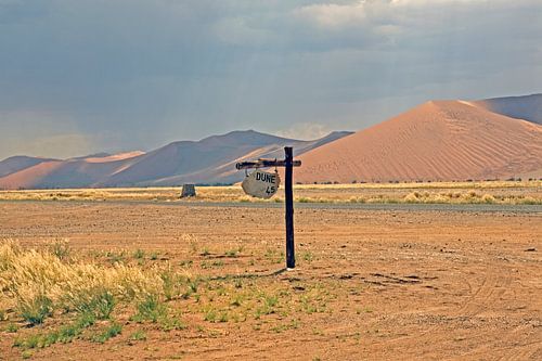 Düne 45 – Wegweiser ins Herz der Wüste von WeltReisender Magazin