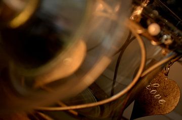 love by Evelien Gubbels