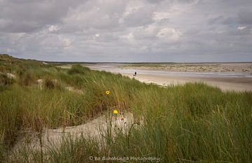 Wandelaar met hond op strand van Ameland van Bo Scheeringa Photography