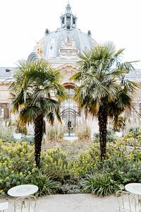 Le Jardin du Petit Palais Paris van sonja koning