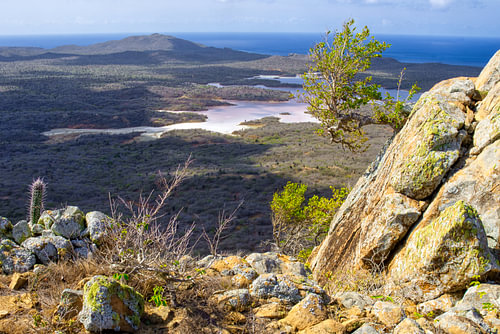 View of Saliña Slagbaai