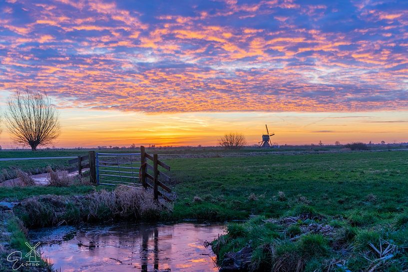 winter in de polder van Ecarna