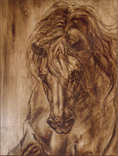 Mirador by Paula Collewijn