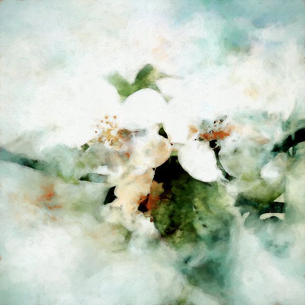 Spring blossom by Andreas Wemmje