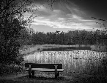Bench in nature reserve with view in black and white