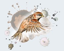 Fliegender Spatz von Bianca Wisseloo