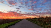 Weerribben NP: Weg naar de zonsopkomst van Henk van Dijk thumbnail
