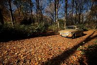 Trabi in fall