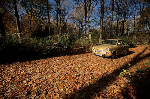 Trabi im Herbst van Jeroen Mooijman