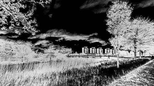 Gaatkens Plas Barendrecht