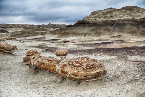 Œufs de roche rayée avec du grès à l'aube, Bisti Badlands, De-Nah-Zin Wilderness Area, Nouveau-Mexiq
