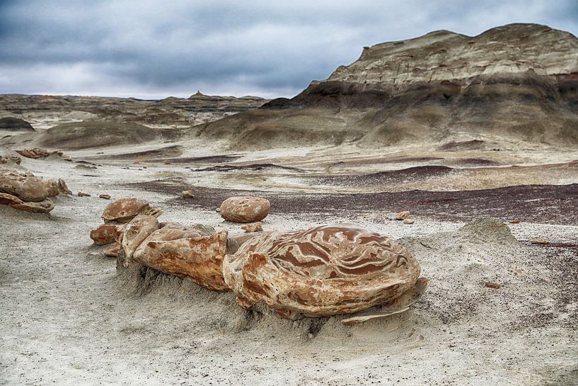 Striped rock eggs with sandstone at dawn, Bisti Badlands, De-Nah-Zin Wilderness Area, New Mexico, US by Frank Fichtmüller
