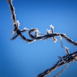 A touch of winter
