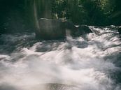 Die Oker entlang der Romkerhall by Dirk Bartschat thumbnail