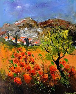 My poppies in Provence