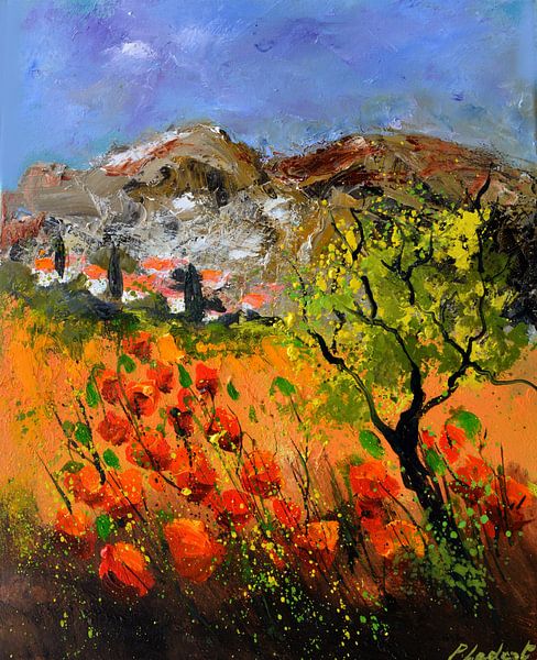 My poppies in Provence par pol ledent