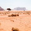 Woestijn in Jordanië van Dayenne van Peperstraten