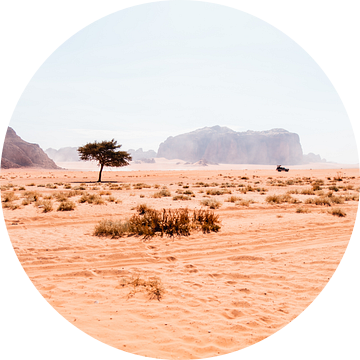Woestijn in Jordanië van Dayenne van Peperstraten