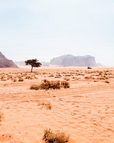 Woestijn in Jordanië